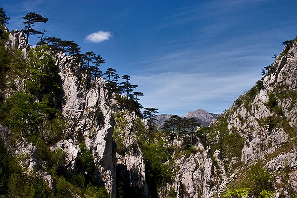 Cheile Tasnei