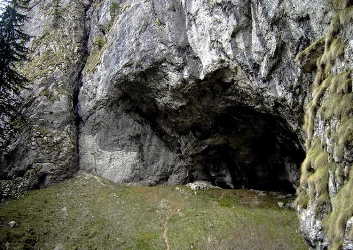 Pestera Arnautilor, Valcea