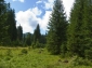 Rezervatia Naturala Molhasurile din Valea Izbucelor - boga-pietroasa